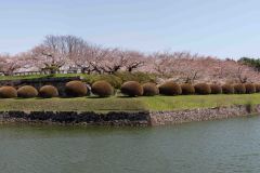 Hakodate-Japan-3-B4206180-Pano