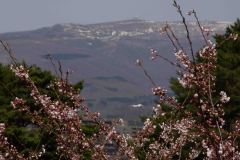 Hakodate-Japan-33-P4206446