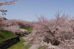 Hakodate-Japan-38-B4206221