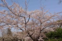 Hakodate-Japan-4-B4206186