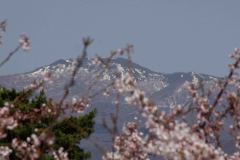 Hakodate-Japan-40-P4206468