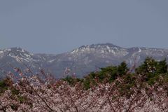 Hakodate-Japan-42-P4206476