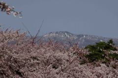 Hakodate-Japan-43-P4206479