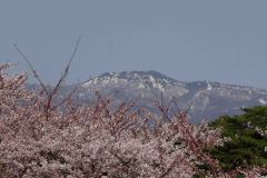 Hakodate-Japan-44-P4206483