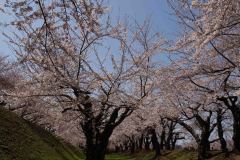 Hakodate-Japan-53-B4206230