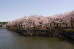 Hakodate-Japan-57-B4206232