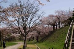Hakodate-Japan-6-B4206189
