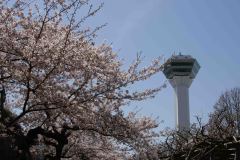 Hakodate-Japan-7-P4206424