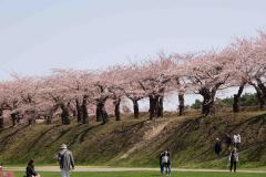 Hakodate-Japan-9-B4206193