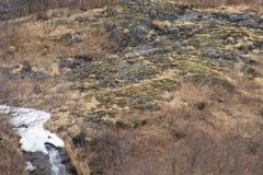 Whittier-AK-1-P4296540