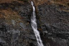 Whittier-AK-11-P4296553