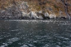 Whittier-AK-12-P4296554