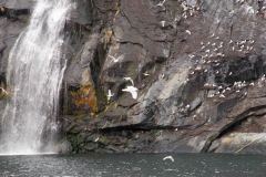 Whittier-AK-15-P4296558
