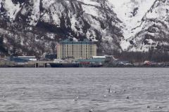 Whittier-AK-18-P4296570