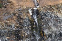 Whittier-AK-2-P4296542