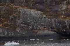 Whittier-AK-28-P4296644