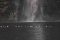 Whittier-AK-41-P4296708