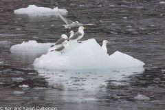 Whittier-AK-47-P4296732