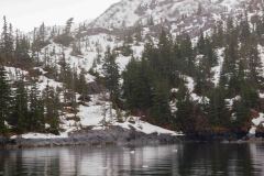 Whittier-AK-48-P4296735