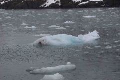 Whittier-AK-51-P4296742