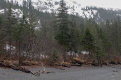 Whittier-AK-58-P4296784