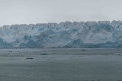 Hubbard-Glacier-23-B4296432-Pano