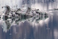 Hubbard-Glacier-60-B4306581-HDR