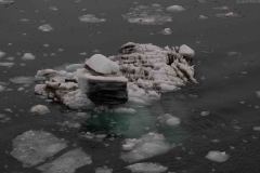 Marjorie-and-Grand-Pacific-Glacier-13-B4306540