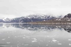 Marjorie-and-Grand-Pacific-Glacier-14-B4306543