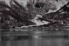 Marjorie-and-Grand-Pacific-Glacier-19-B4306555