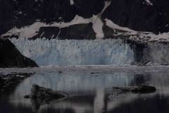 Marjorie-and-Grand-Pacific-Glacier-28-B4306589