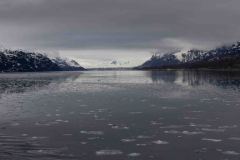 Marjorie-and-Grand-Pacific-Glacier-3-B4306490