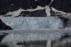 Marjorie-and-Grand-Pacific-Glacier-30-B4306594
