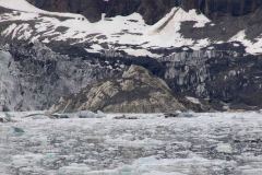 Marjorie-and-Grand-Pacific-Glacier-39-B4306628