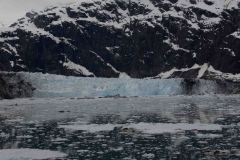 Marjorie-and-Grand-Pacific-Glacier-40-B4306629