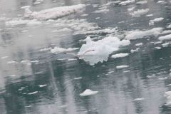 Marjorie-and-Grand-Pacific-Glacier-48-B4306663