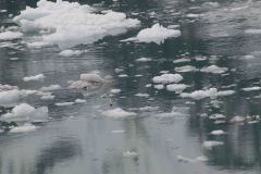 Marjorie-and-Grand-Pacific-Glacier-50-B4306670