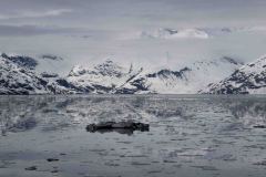 Marjorie-and-Grand-Pacific-Glacier-8-B4306505