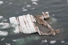 Marjorie-and-Grand-Pacific-Glacier-9-B4306516