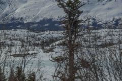 Skagway-AK-USA-28-B5016809