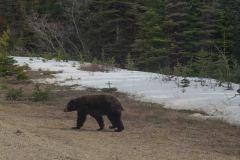 Skagway-AK-USA-42-B5016853