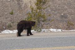 Skagway-AK-USA-43-B5016860