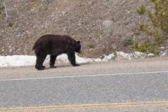 Skagway-AK-USA-44-B5016862