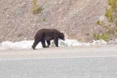 Skagway-AK-USA-45-B5016864