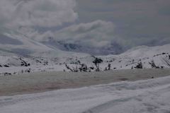 Skagway-AK-USA-82-B5016954