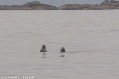 Sitka-AK-USA-12-B5037020