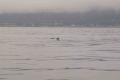 Sitka-AK-USA-13-B5037023