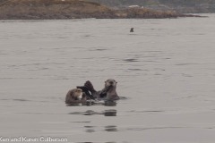 Sitka-AK-USA-14-B5037026