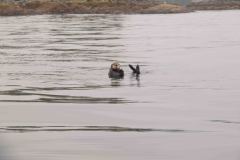 Sitka-AK-USA-16-B5037030