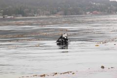 Sitka-AK-USA-24-B5037101